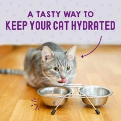 Stella & Chewy's Carnivore Cravings Chicken & Tuna Flavored Shredded Wet Cat Food -Almo nature Sales 576214 PT7. AC SS1800 V1657660463