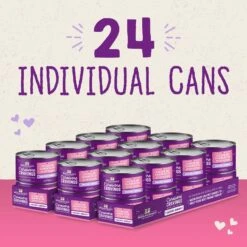 Stella & Chewy's Savory Shreds Chicken & Salmon Flavored Shredded Wet Cat Food -Almo nature Sales 576510 PT6. AC SS1800 V1657660470