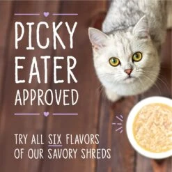 Stella & Chewy's Savory Shreds Tuna & Mackerel Flavored Shredded Wet Cat Food -Almo nature Sales 576558 PT8. AC SS1800 V1657660471