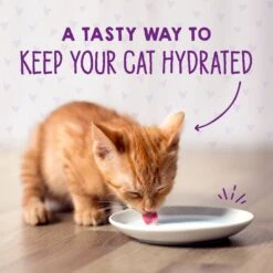 Stella & Chewy's Chicken & Salmon Flavored Pate Kitten Wet Cat Food 17 Stella & Chewy's Chicken & Salmon Flavored Pate Kitten Wet Cat Food -Almo nature Sales 576606 PT8. AC SS1800 V1657660473