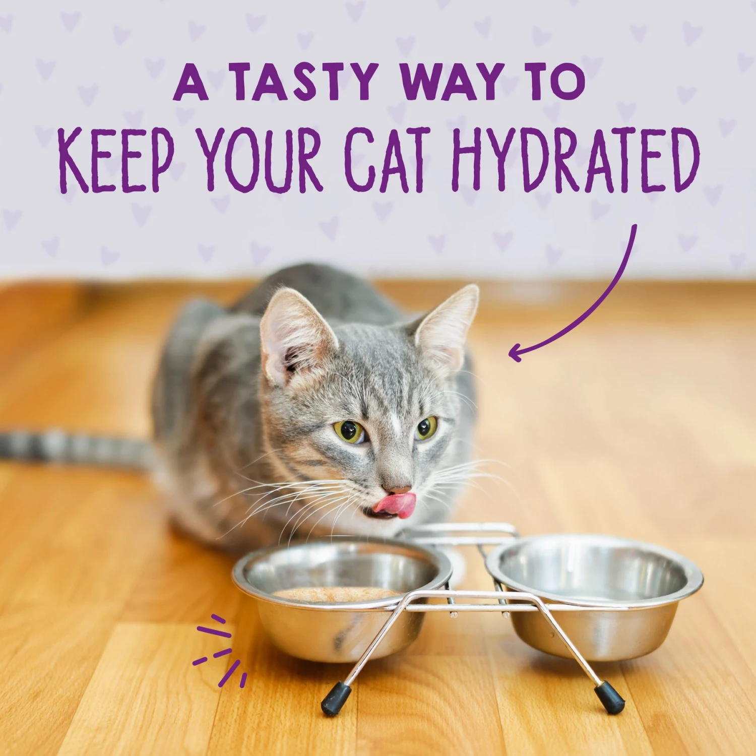 Stella & Chewy's Stella & Chewy's Carnivore Cravings Cage-Free Chicken & Wild-Caught Tuna Flavored Minced Wet Cat Food 8 Stella & Chewy's Stella & Chewy's Carnivore Cravings Cage-Free Chicken & Wild-Caught Tuna Flavored Minced Wet Cat Food - Image 6