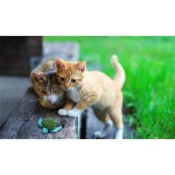 KONG Refillable Turtle Catnip Cat Toy 9 KONG Refillable Turtle Catnip Cat Toy -Almo nature Sales 59302 PT1. AC SS1800 V1489183903