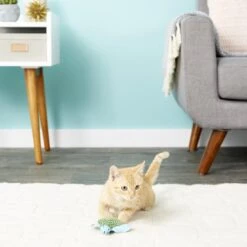 KONG Refillable Turtle Catnip Cat Toy 13 KONG Refillable Turtle Catnip Cat Toy -Almo nature Sales 59302 PT5. AC SS1800 V1603162890