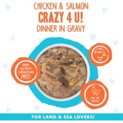 BFF OMG Crazy 4 U! Chicken & Salmon Dinner In Gravy Grain-Free Canned Cat Food & BFF OMG QT Patootie! Chicken & Turkey Dinner In Gravy Grain-Free Canned Cat Food -Almo nature Sales 611734 PT4. AC SS1800 V1661547946