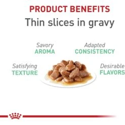 Royal Canin Feline Care Nutrition Digestive Care Thin Slices In Gravy Canned Cat Food 13 Royal Canin Feline Care Nutrition Digestive Care Thin Slices In Gravy Canned Cat Food -Almo nature Sales 63430 PT2. AC SS1800 V1697757760