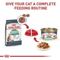 Royal Canin Feline Care Nutrition Digestive Care Thin Slices In Gravy Canned Cat Food 16 Royal Canin Feline Care Nutrition Digestive Care Thin Slices In Gravy Canned Cat Food -Almo nature Sales 63430 PT5. AC SS1800 V1697757757