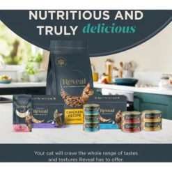 Reveal Natural Grain-Free Tuna Fillet With Shrimp In Broth Flavored Wet Cat Food, 2.47-oz Can, Case Of 24 13 Reveal Natural Grain-Free Tuna Fillet With Shrimp In Broth Flavored Wet Cat Food, 2.47-oz Can, Case Of 24 -Almo nature Sales 637798 PT6. AC SS1800 V1663106358