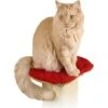 SmartCat The Ultimate Cat Scratching Post Perch Pad 1 SmartCat The Ultimate Cat Scratching Post Perch Pad -Almo nature Sales 64176. AC SS1800 V1460478784