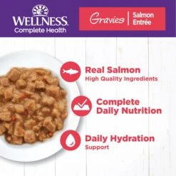 Wellness Natural Grain-Free Gravies Turkey Dinner Canned Cat Food + 2 Items -Almo nature Sales 646830 PT6. AC SS1800 V1664555100