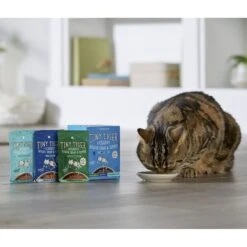Tiny Tiger, Kitten Classic, Variety Pack, Whitefish & Poultry Pate Recipe, Canned Cat Food & Tiny Tiger, Lickables, Variety Pack, Bisque Cat Treat & Topper -Almo nature Sales 652782 PT8. AC SS1800 V1664900094
