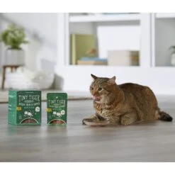 Tiny Tiger Chunks In Gravy Beef & Poultry Recipes Variety Pack Grain-Free Canned Cat Food & Tiny Tiger Lickables, Senior Formula, Tuna & Chicken Recipe, Bisque Cat Treat & Topper -Almo nature Sales 653134 PT8. AC SS1800 V1664898391