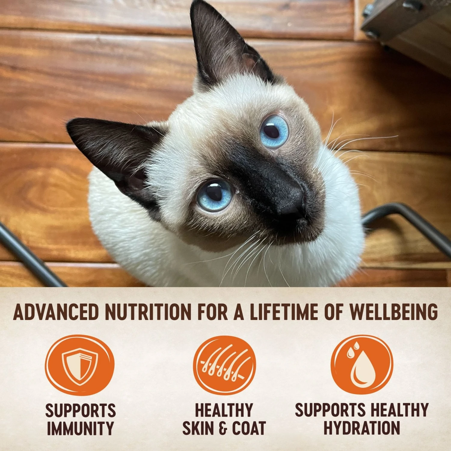 Wellness CORE Signature Selects Shredded Boneless Chicken & Chicken Liver Entree In Sauce Grain-Free Natural Canned Cat Food & Wellness CORE Signature Selects Flaked Skipjack Tuna & Wild Salmon Entree In Broth Grain-Free Canned Cat Food 11 Wellness CORE Signature Selects Shredded Boneless Chicken & Chicken Liver Entree In Sauce Grain-Free Natural Canned Cat Food & Wellness CORE Signature Selects Flaked Skipjack Tuna & Wild Salmon Entree In Broth Grain-Free Canned Cat Food - Image 9