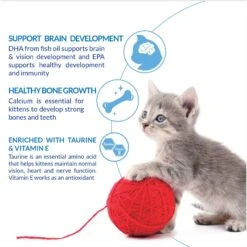 Inaba Churu For Kittens Chicken Recipe Puree Grain-Free Lickable Cat Treats -Almo nature Sales 667030 PT3. AC SS1800 V1673448658 1