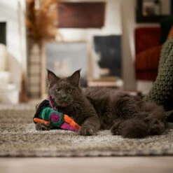 Frisco Halloween Frog In Witch Hat Plush Kicker Cat Toy With Catnip -Almo nature Sales 667942 PT3. AC SS1800 V1689355019