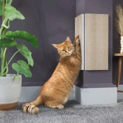 Way Basics Eco ZBoard Corner Wall Cat Scratching Pad 6 Way Basics Eco ZBoard Corner Wall Cat Scratching Pad -Almo nature Sales 675318 PT1. AC SS1800 V1665781228