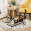 Way Basics Eco ZBoard Premium Cat Scratcher, 2 Count 2 Way Basics Eco ZBoard Premium Cat Scratcher, 2 Count -Almo nature Sales 675390 MAIN. AC SS1800 V1665778220
