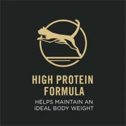 Purina Pro Plan Focus Adult Indoor Care Salmon & Rice Entree In Sauce Canned Cat Food -Almo nature Sales 67915 PT2. AC SS1800 V1669672511