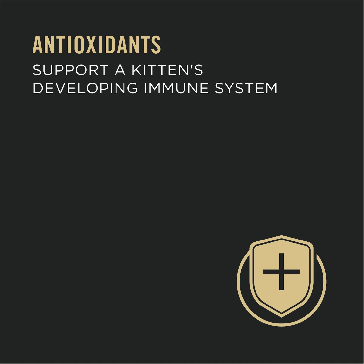 Purina Pro Plan Kitten Classic Chicken & Liver Entree Canned Cat Food 6 Purina Pro Plan Kitten Classic Chicken & Liver Entree Canned Cat Food - Image 4