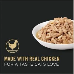 Purina Pro Plan Adult Chicken & Rice Entree In Gravy Canned Cat Food -Almo nature Sales 67944 PT2. AC SS1800 V1674494978