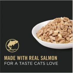 Purina Pro Plan Adult Salmon & Rice Entree In Sauce Canned Cat Food -Almo nature Sales 67954 PT2. AC SS1800 V1674494921