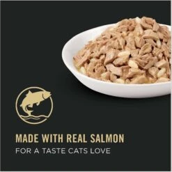 Purina Pro Plan Adult Salmon & Rice Entree In Sauce Canned Cat Food -Almo nature Sales 67954 PT8. AC SS1800 V1638307312