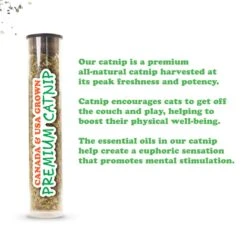 Meowijuana Jump 'n' Jamb Get The Monkey Off Your Back Refillable Swinging Door Jamb Cat Toy -Almo nature Sales 696582 PT3. AC SS1800 V1669386938