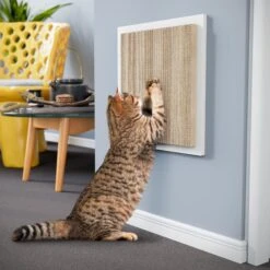 Way Basics Square Wall Cat Scratcher, Medium -Almo nature Sales 697254 PT2. AC SS1800 V1667948185