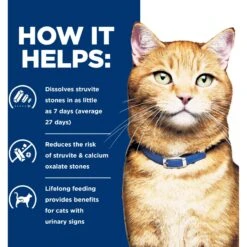 Hill's Prescription Diet C/d Multicare Urinary Care With Ocean Fish Wet Cat Food 15 Hill's Prescription Diet C/d Multicare Urinary Care With Ocean Fish Wet Cat Food -Almo nature Sales 69857 PT4. AC SS1800 V1651694784