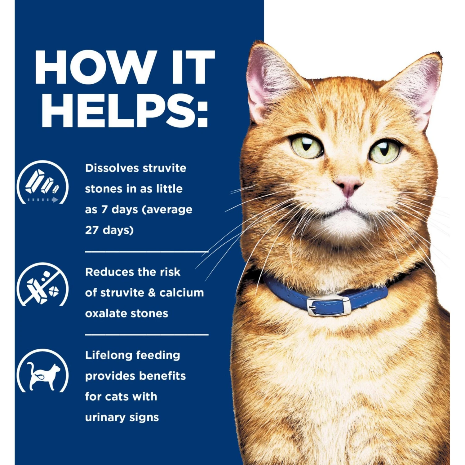 Hill's Prescription Diet C/d Multicare Urinary Care With Ocean Fish Wet Cat Food 7 Hill's Prescription Diet C/d Multicare Urinary Care With Ocean Fish Wet Cat Food - Image 5