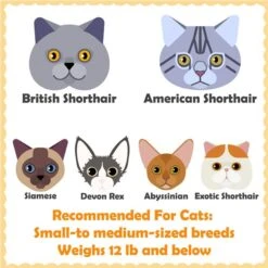 Yaheetech 69-in 4-Level Plush Cat Tree -Almo nature Sales 705134 PT2. AC SS1800 V1686153897