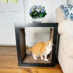 Designer Pet Products Bailey Cat Scratcher End Table -Almo nature Sales 722862 PT4. AC SS1800 V1671037947