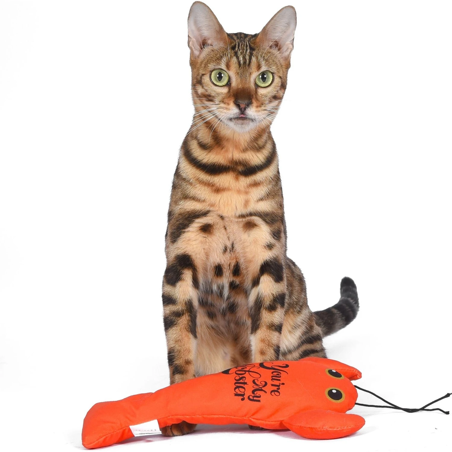 Fetch For Pets Friends You're My Lobster Kicker Plush Cat Toy With Catnip 6 Fetch For Pets Friends You're My Lobster Kicker Plush Cat Toy With Catnip - Image 4