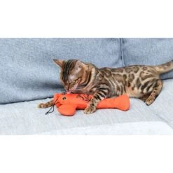 Fetch For Pets Friends You're My Lobster Kicker Plush Cat Toy With Catnip 11 Fetch For Pets Friends You're My Lobster Kicker Plush Cat Toy With Catnip -Almo nature Sales 729182 PT4. AC SS1800 V1682622128