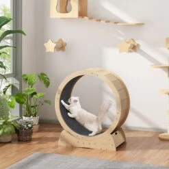 Coziwow Exercise Wheel With Lock & Teaser Cat Treadmill