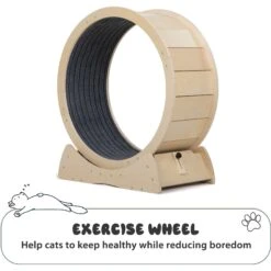 Coziwow Exercise Wheel With Lock & Teaser Cat Treadmill -Almo nature Sales 731054 PT3. AC SS1800 V1686337888