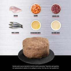 ORIJEN Kitten Recipe Chicken + Salmon Entree In Bone Broth Wet Cat Food 11 ORIJEN Kitten Recipe Chicken + Salmon Entree In Bone Broth Wet Cat Food -Almo nature Sales 741350 PT3. AC SS1800 V1681756520