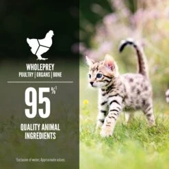 ORIJEN Kitten Recipe Chicken + Salmon Entree In Bone Broth Wet Cat Food 12 ORIJEN Kitten Recipe Chicken + Salmon Entree In Bone Broth Wet Cat Food -Almo nature Sales 741350 PT4. AC SS1800 V1681756777