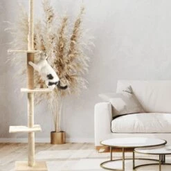 Cat Craft 4-Level Adjustable Climbing & Perch Cat Tree With Scratch Mat Post, Cream, X-Large 11 Cat Craft 4-Level Adjustable Climbing & Perch Cat Tree With Scratch Mat Post, Cream, X-Large -Almo nature Sales 744846 PT1. AC SS1800 V1674070935