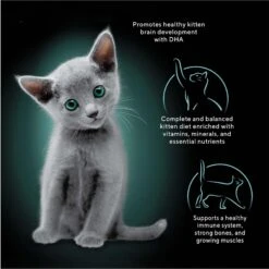 Sheba Perfect Portions Kitten Chicken Pate Wet Cat Food -Almo nature Sales 752934 PT2. AC SS1800 V1672851777