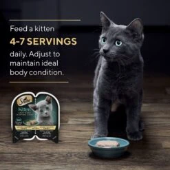 Sheba Perfect Portions Kitten Chicken Pate Wet Cat Food -Almo nature Sales 752934 PT6. AC SS1800 V1672843243