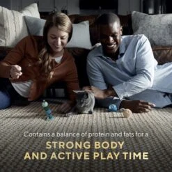 Sheba Perfect Portions Kitten Variety Pack Chicken Pate & Pate Salmon Wet Cat Food -Almo nature Sales 752950 PT3. AC SS1800 V1672842546