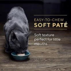 Sheba Perfect Portions Kitten Variety Pack Chicken Pate & Pate Salmon Wet Cat Food -Almo nature Sales 752950 PT8. AC SS1800 V1672843191