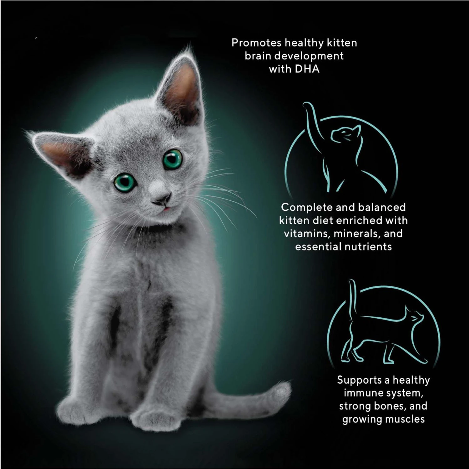 Sheba Perfect Portions Kitten Salmon Soft Pate Wet Cat Food 5 Sheba Perfect Portions Kitten Salmon Soft Pate Wet Cat Food - Image 3