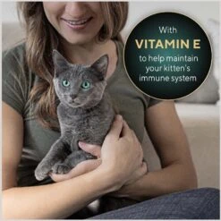 Sheba Perfect Portions Kitten Salmon Soft Pate Wet Cat Food 15 Sheba Perfect Portions Kitten Salmon Soft Pate Wet Cat Food -Almo nature Sales 752966 PT4. AC SS1800 V1672851773