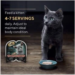 Sheba Perfect Portions Kitten Salmon Soft Pate Wet Cat Food 17 Sheba Perfect Portions Kitten Salmon Soft Pate Wet Cat Food -Almo nature Sales 752966 PT6. AC SS1800 V1672851838