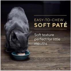 Sheba Perfect Portions Kitten Salmon Soft Pate Wet Cat Food 18 Sheba Perfect Portions Kitten Salmon Soft Pate Wet Cat Food -Almo nature Sales 752966 PT7. AC SS1800 V1672851230