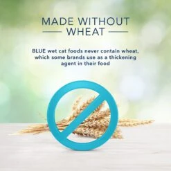 Blue Buffalo Freedom Indoor Adult Fish Recipe Grain-Free Canned Cat Food -Almo nature Sales 75598 PT4. AC SS1800 V1585083408