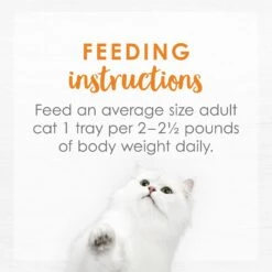 Fancy Feast Purely White Meat Chicken Wet Cat Food -Almo nature Sales 75929 PT7. AC SS1800 V1568640471