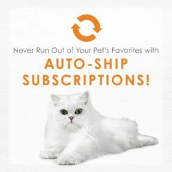 Fancy Feast Purely White Meat Chicken Wet Cat Food -Almo nature Sales 75929 PT8. AC SS1800 V1568640449