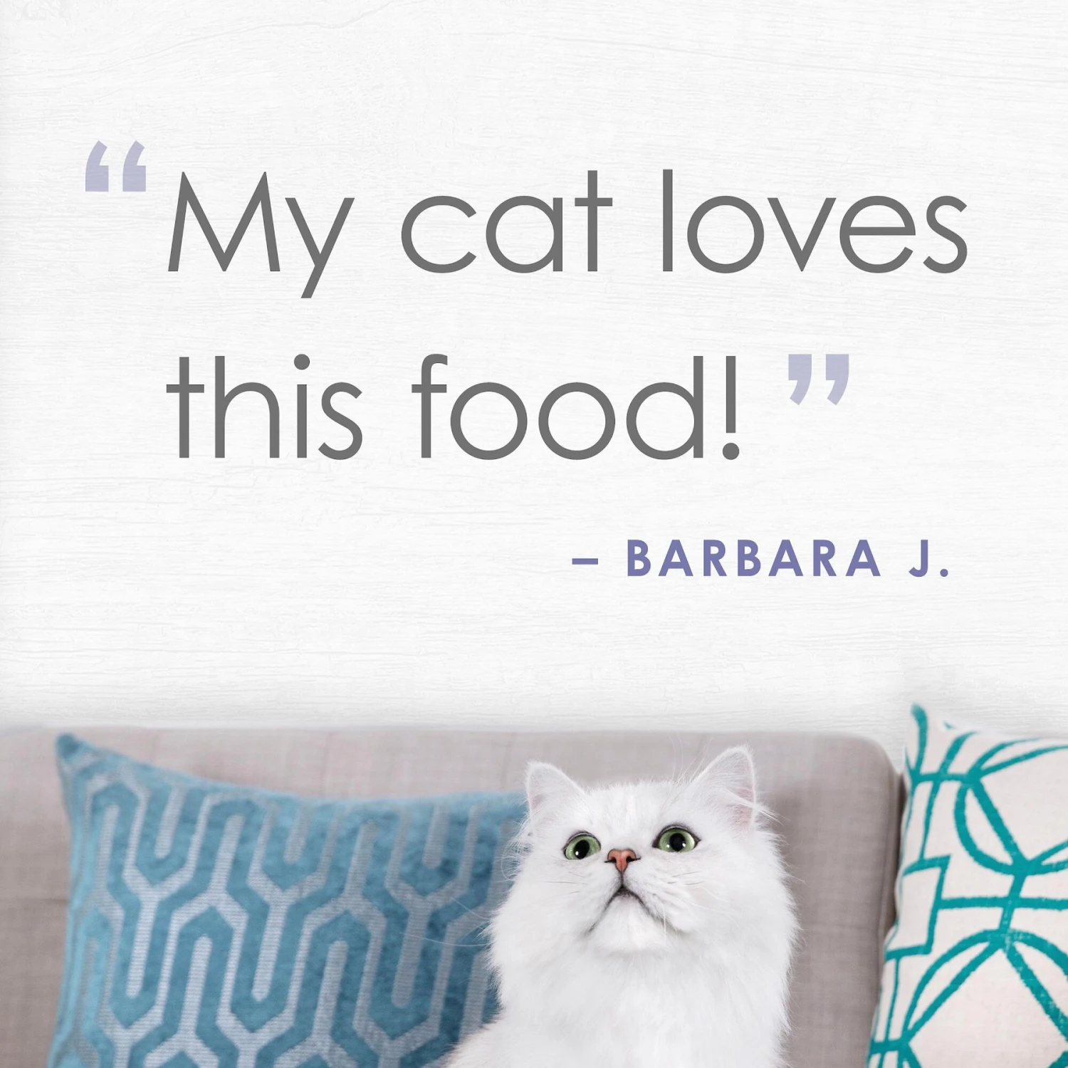 Fancy Feast Purely White Meat Chicken & Shredded Beef Wet Cat Food 8 Fancy Feast Purely White Meat Chicken & Shredded Beef Wet Cat Food - Image 6